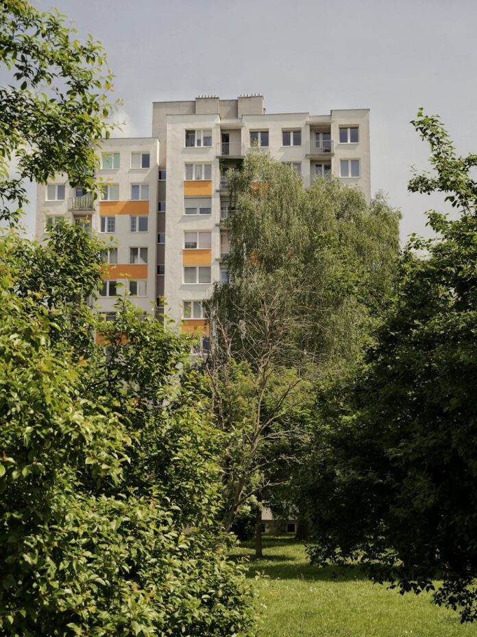 Czy współpraca między lokalnymi firmami może przynieść korzyści?